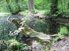 athares.blog.cz Vantam