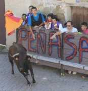 elnortedecastilla.es Vaquilla