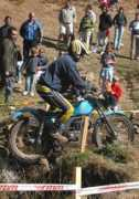 Varade
