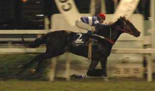 Varadouro