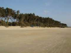 Varca