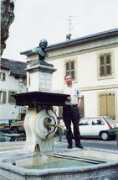Varelius