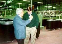merryvillestud.com.au Varesio