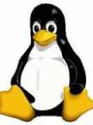 android.wonderhowto.com Vargovich