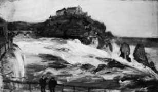 rheinfall.com Varlin