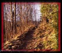 birgittawidegren.com Varm