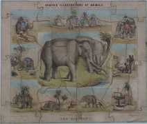 icollectpuzzles.com Varty