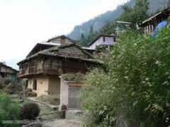 ronmertens.com Vashisht