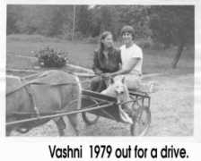 whiteshepherd.com Vashni