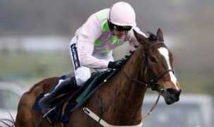 express.co.uk Vautour