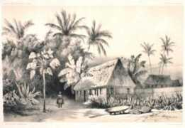 Vavao
