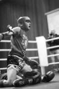 allboxing.ru Vavilin
