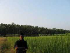 Vayal