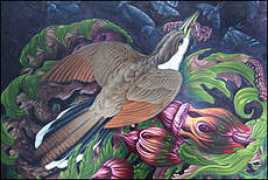 packergallery.com Veara