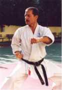 theshotokanway.com Vebo