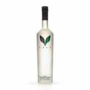 Veev