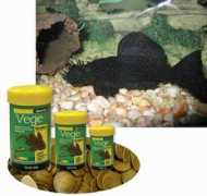 Vege