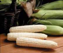 ozarksgardens.com Vegetable