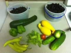 Veggies