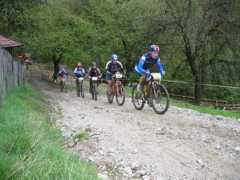 06.live-radsport.ch Veiter