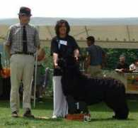 newfs.news.free.fr Velcicka