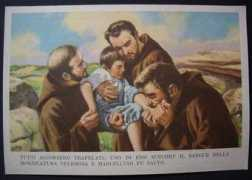 collezione-online.it Velenosa