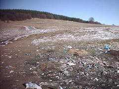 wwf.bg Velkovski