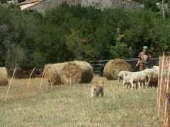 larzac.concours.free.fr Velou