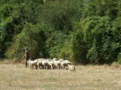 larzac.concours.free.fr Velou
