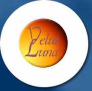 Velut