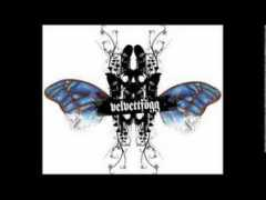 wn.com Velvett