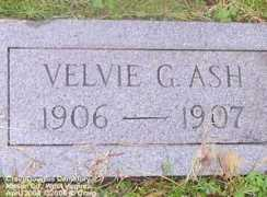 wvcpaweb.org Velvie
