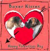 boxer-rescue-la.com Velvita