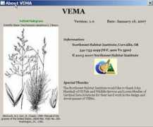 Vema