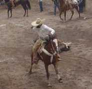 Venaderos
