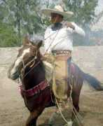 Venaderos