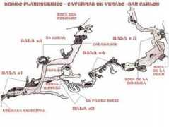 Venado