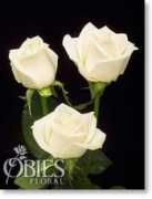 obiesfloral.com Vendella