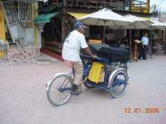 Vender