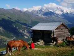 maragnene.ch Vendes