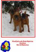 griffiaden.com Vendett