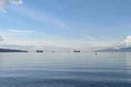 Venesio