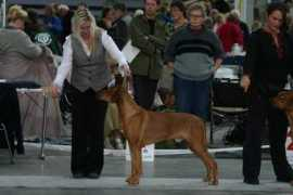 ridgeline.se Ventors