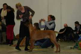 ridgeline.se Ventors