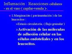 bio.hgy.es Venula