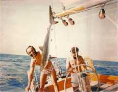 giornaledellavela.com Verbini