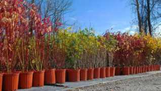 verbinnens.com Verbinnen