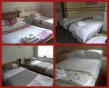 4tourism.com Verdene