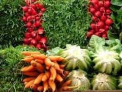 Verduras