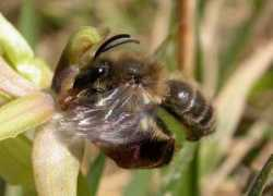 guenther-blaich.de Vereecken